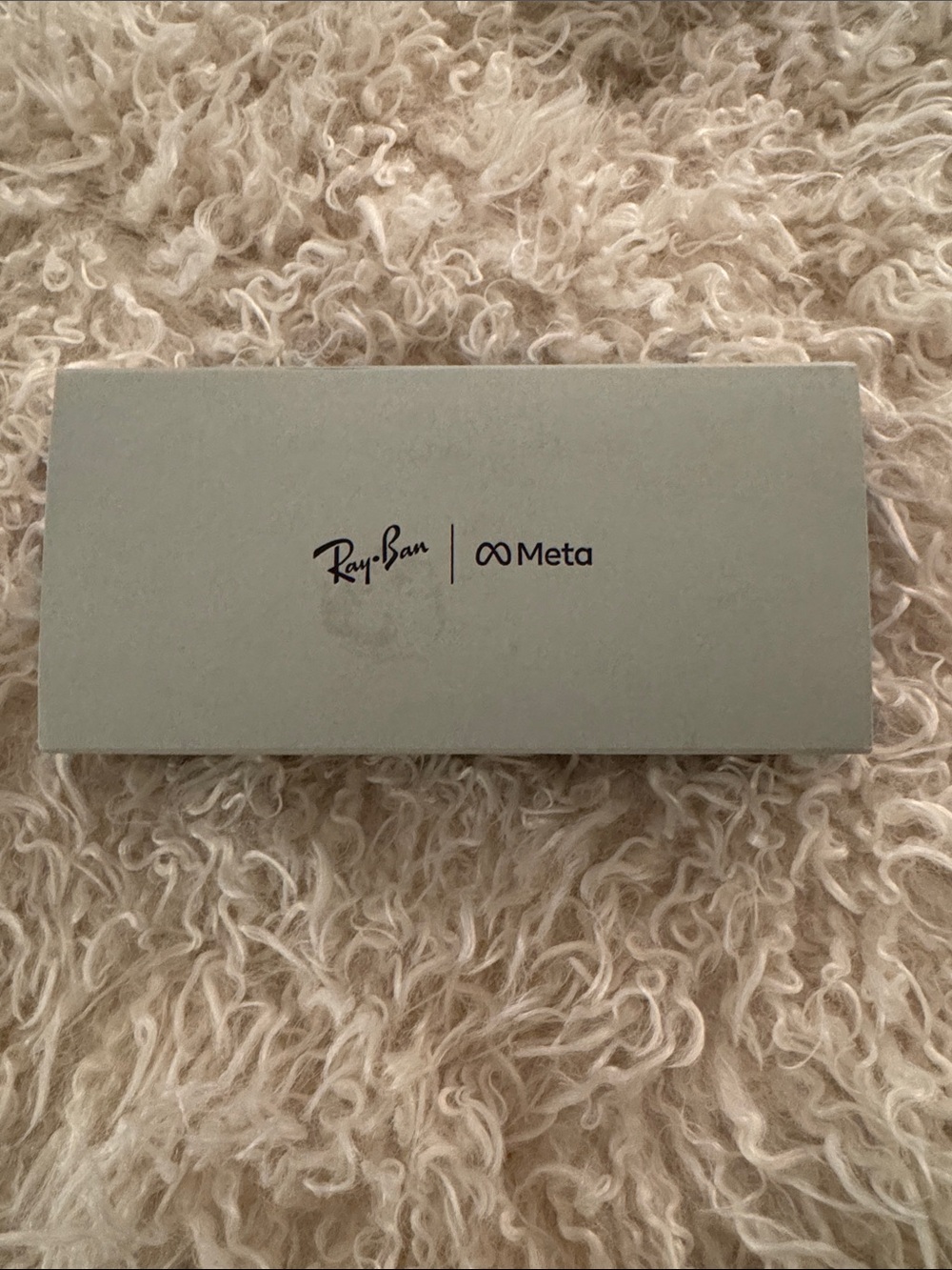NWT Ray-Ban Meta Skyler (Gen 2) Frame color: Shiny Black Lens color:Green